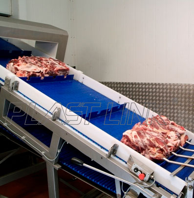 Pork conveyor line application