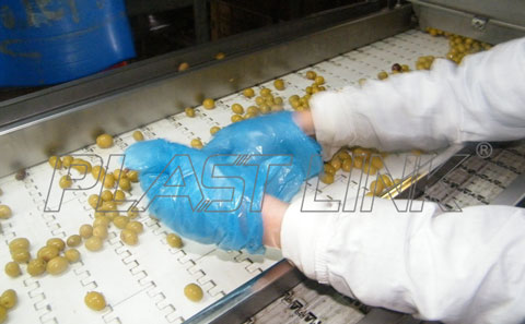 Food processing conveyor line application