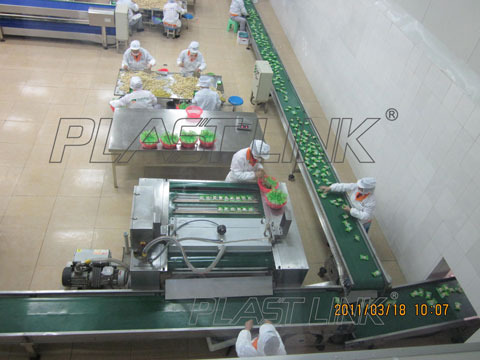 Vegetable production line application